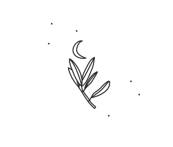 손으로 그린 추상 벡터 플레인 그래픽 일러스트 로고 요소 , bohemian magic flower branch line art in simple style for branding, isolated on white background. Feminine logo concept. — 스톡 벡터
