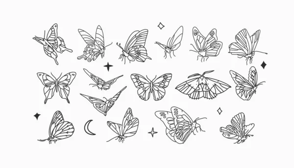 Hand drawn vector abstract stock flat graphic illustrations collection set bundle with logo elements,bohemian magic line art of mystic flying butterfly and moth,feminine simple style for branding — Stock Vector