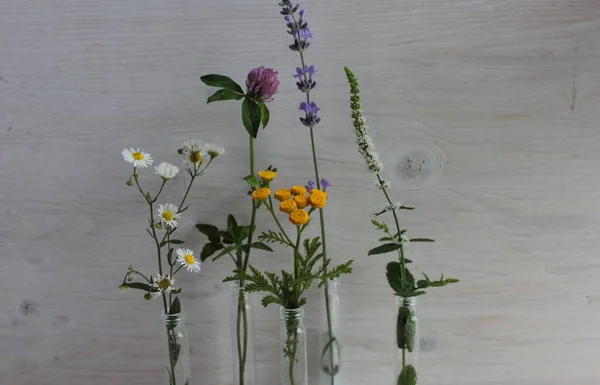 Blüten Aus Kamille Lavendel Stiefmütterchen Und Minze Gibt Flaschen — Stockfoto