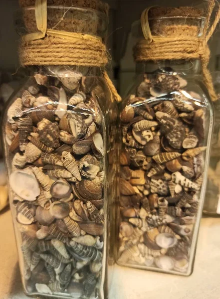 Seashells São Mantidos Frascos Vidro Fechados — Fotografia de Stock