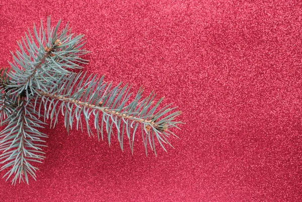 Una Rama Abeto Azul Yace Sobre Una Superficie Roja — Foto de Stock