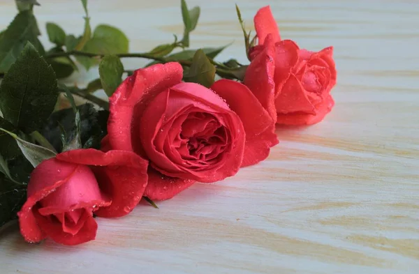 Bouquet Roses Rouges Repose Sur Une Surface Bois Clair — Photo