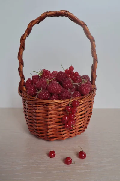 Rote Himbeeren Und Johannisbeeren Liegen Einem Weidenkorb Auf Dem Tisch — Stockfoto