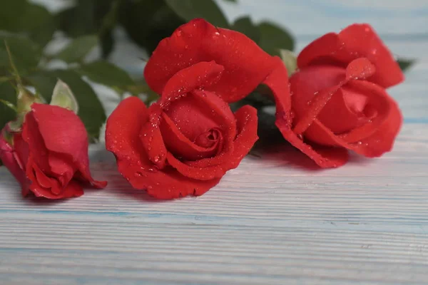 Rosas Vermelhas Estão Uma Superfície Madeira Clara — Fotografia de Stock