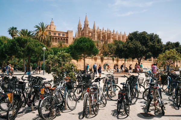 Katedralen Santa Maria av Palma och La kungliga slottet Almudaina — Stockfoto