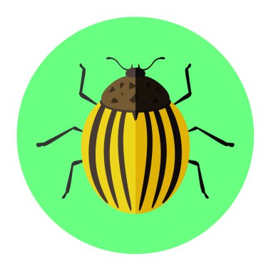 renkli böcekler düz simgesi