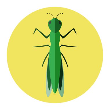 renkli böcekler düz simgesi