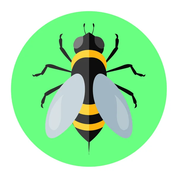 Color insects flat icon — Stock Vector