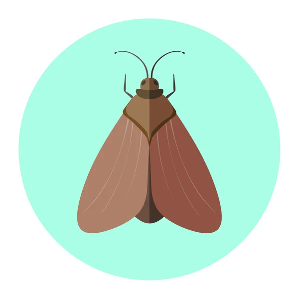 Color insects flat icon — Stock Vector