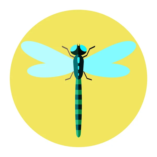 Color insects flat icon — Stock Vector