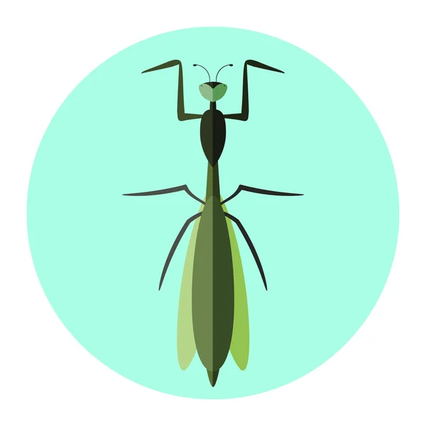 Kleur insecten platte pictogram — Stockvector