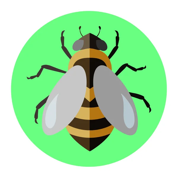 สีของไอคอนแบนของแมลง — ภาพเวกเตอร์สต็อก