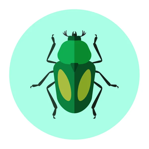 Színes rovarok lapos ikon — Stock Vector