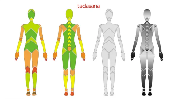 Illustration-of-a-man-in-the-pose-of-the-mountain-tadasana — ストックベクタ