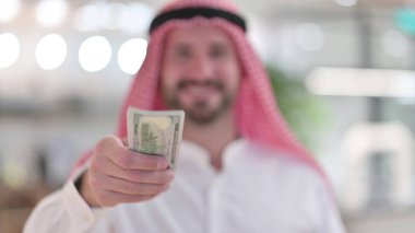 Arap İşadamı Dolar Öneriyor, Mali Yatırım