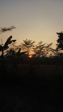 Güneşin gölgeli ağaçların ve yaprakların ardında batışını gösteren sakin kırsal bir manzara. Sıcak ve yumuşak ışıklandırmayla birlikte doğa ve açık hava temaları için ideal, barışçıl bir atmosfer yaratıyor..