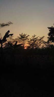 Siluetli ağaçlar ve sıcak turuncu gökyüzü ile huzurlu bir günbatımı sahnesi doğa ve açık hava pazarlaması için ideal sakin ve sakin bir atmosfer yaratıyor..