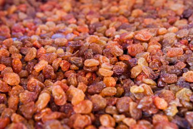 Kuru üzüm - portre vurdu