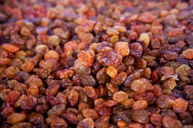 Kuru üzüm - portre vurdu