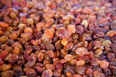 Kuru üzüm - portre vurdu