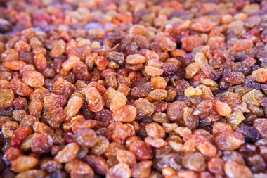 Kuru üzüm - portre vurdu