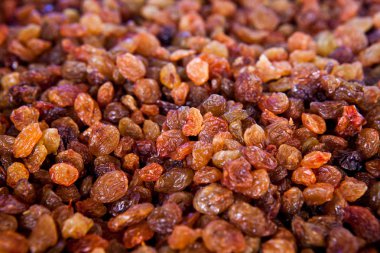 Kuru üzüm - portre vurdu