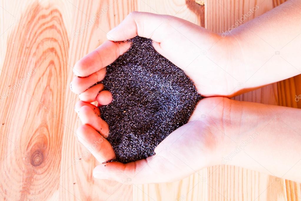 Poppy seeds in hands — Stock Photo © 100710314