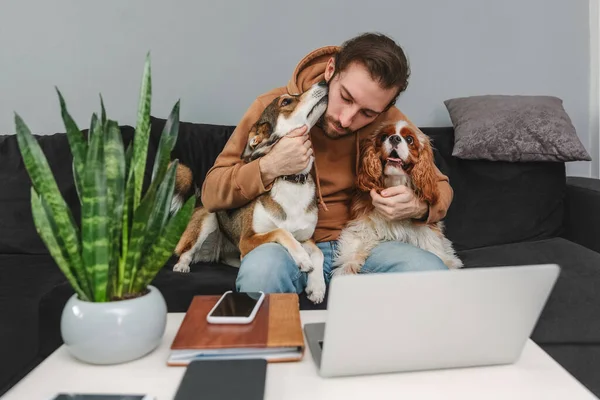 Evdeki kanepede otururken dizüstü bilgisayarda çalışan bir adam köpeklere sarılıyor.