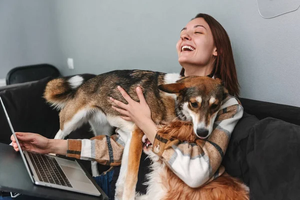 Young laughing woman hugging dogs while working at laptop