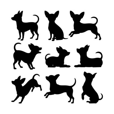 Chihuahua 'nın dokuz farklı silueti farklı oyuncu pozlarda dizilmiş. Cinsin enerjik ve canlı karakterini vurguluyorlar..