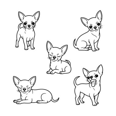 Beş sevimli chihuahua köpeği farklı pozlarda gösteriliyor, neşeli doğalarını sergiliyorlar. Her köpeğin kendine has bir ifadesi vardır. Dost canlısı karakterini vurgular..