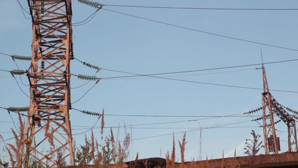 Kraftledningar. Kvällen den pylon dispositionen — Stockvideo