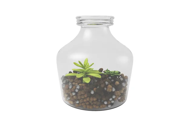 Two plants in the bottle — Stock Photo, Image
