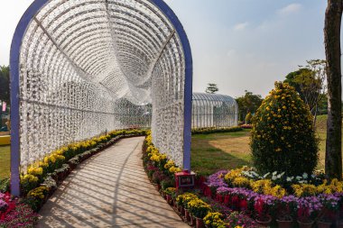 Mavi gökyüzünün altındaki bahçe koridoru, kasımpatı parkı..