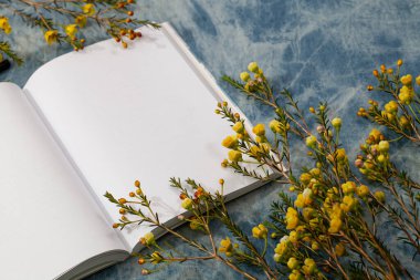 Mavi kumaş üzerinde açık kitap ve çiçek.