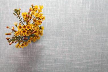 Açık mavi keten dokusu Arkaplan için, Kumaş dokusu arkaplanı.