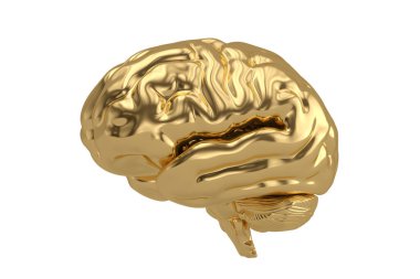 Altın beyin Beyaz Arkaplanda izole edildi, 3 boyutlu illüstrasyon.