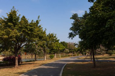 Dağdaki yeşil ağaç Mavi gökyüzünün altında.