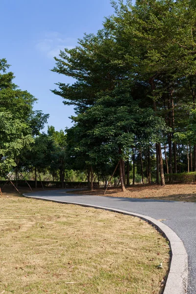 Dağdaki yeşil ağaç Mavi gökyüzünün altında.