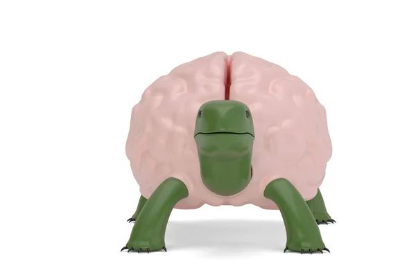 Ilustración Concepto Creativo Cerebro Tortuga Aislado Sobre Fondo Blanco Ilustración — Foto de Stock