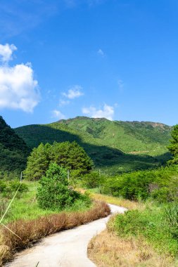 Yeşil Manzara ve Gökyüzüne Karşı Dağların Manzarası