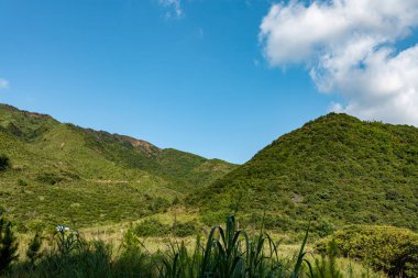 Yeşil Manzara ve Gökyüzüne Karşı Dağların Manzarası