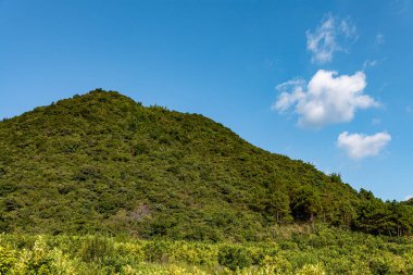 Yeşil Manzara ve Gökyüzüne Karşı Dağların Manzarası