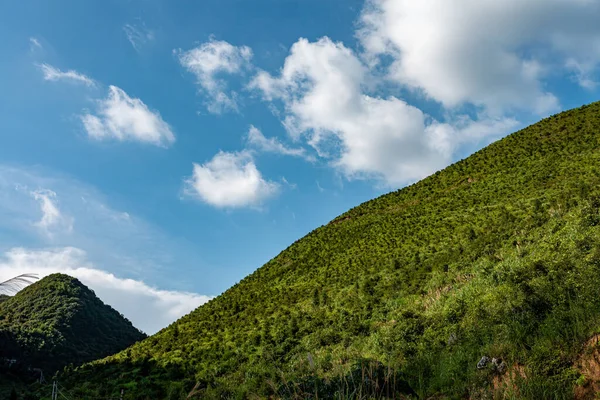 夏の美しい田園地帯のパノラマ 森林に覆われた山々 といくつかの雲と青い空の下の草原の美しい風景 — ストック写真