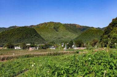 Yazın güzel kırsal alanların manzarası. Ormanlı dağları ve mavi gökyüzünün altında çimenli bir arazisi olan güzel bir manzara.