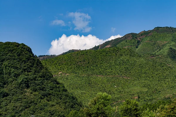 Scenic View Green Landscape Mountains Sky — ストック写真