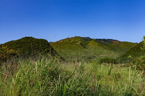 Panorama Hermosa Campiña Verano Hermoso Paisaje Con Montañas Boscosas Campo —  Fotos de Stock