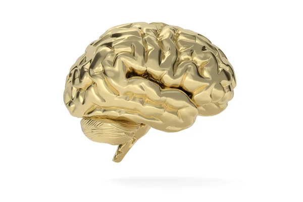 Gold Brain Isolated White Background Illustration — Stock Photo, Image