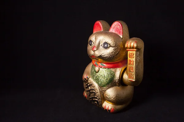 Şanslı Çince siyah arka plan üzerinde izole kedi