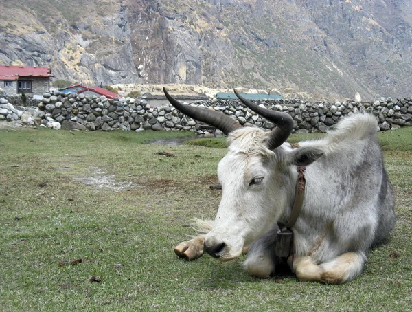 Nepal. Mountain view.